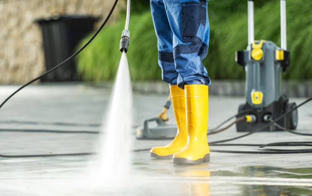 Best Roof Power Washing Services  in Dianapolis, IN